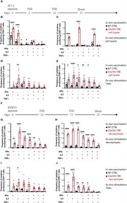 Multiparametric flow cytometry to characterize vaccine-induced polyfunctional T cell responses and T cell/NK cell exhaustion and memory phenotypes in mouse immuno-oncology models